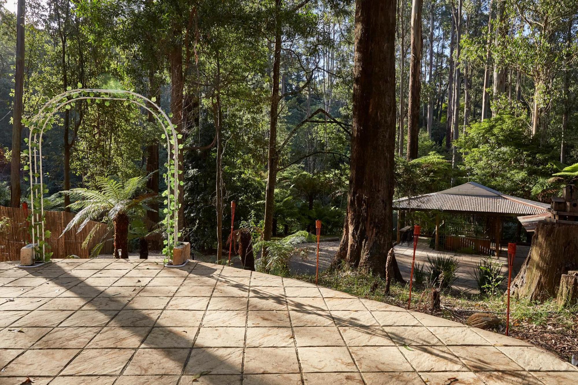 The Fernglen Forest Retreat Mount Dandenong Εξωτερικό φωτογραφία